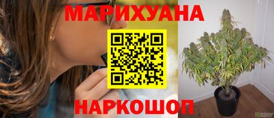 трава Донецк