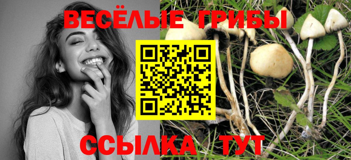 Люберцы  Галлюциногенные грибы GOLDEN TEACHER  Вход с VPN  Псилоцибиновые грибы Cubensis 